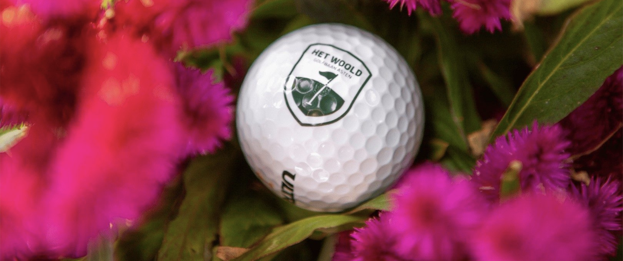 20251126 Greenfee cover